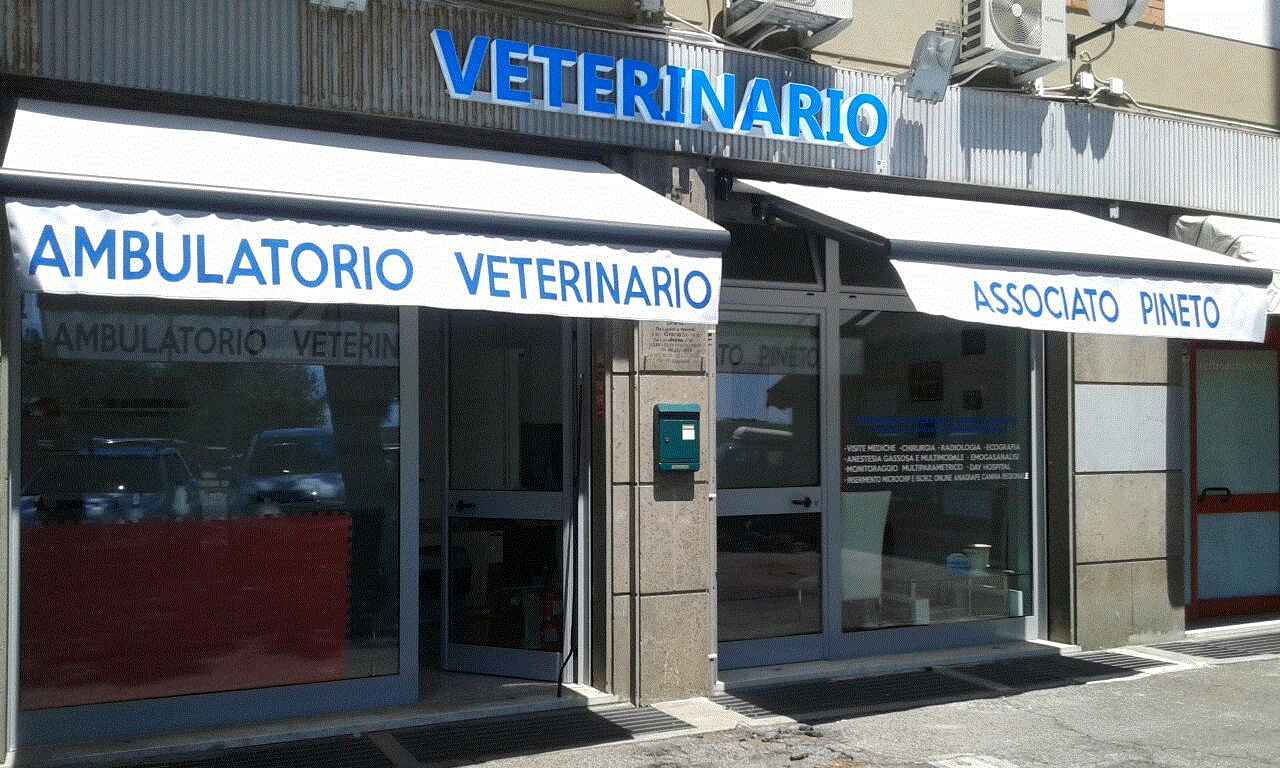 ambulatorio veterinario associato athesis verona recensioni